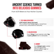 Pack de Viaje Original de Mumijo Shilajit